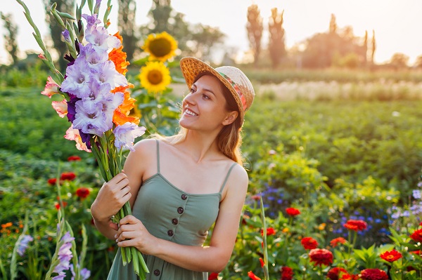 Actuele Aanbiedingen!