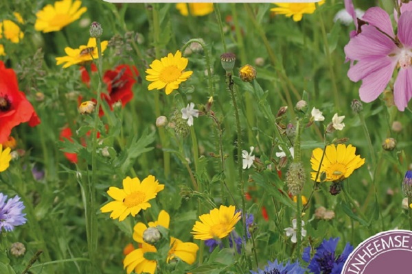 Inheemse bloemen, native flowers