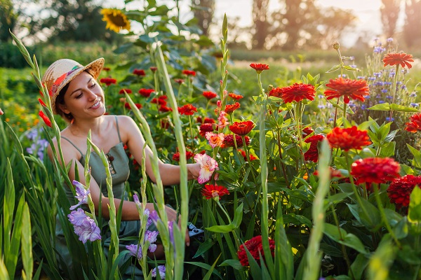 Bekijk ons volledig assortiment bouquet en bloemenmengsel