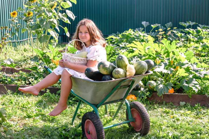 Zaaien & oogsten binnen 6 weken
