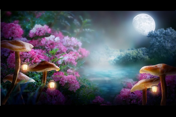 Maak een moon garden